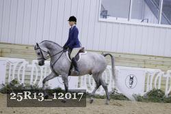 25R13_12017 thumbnail