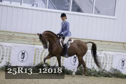25R13_12018 thumbnail