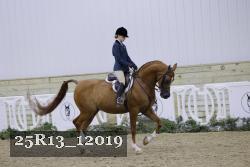 25R13_12019 thumbnail