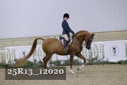25R13_12020 thumbnail