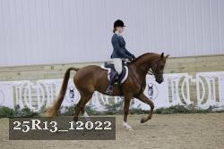 25R13_12022 thumbnail