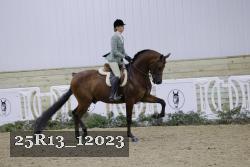 25R13_12023 thumbnail