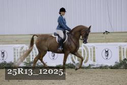 25R13_12025 thumbnail
