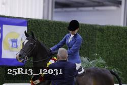 25R13_12031 thumbnail
