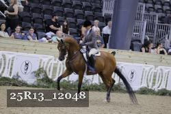 25R13_12048 thumbnail