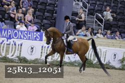 25R13_12051 thumbnail
