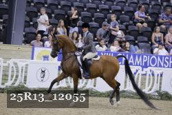25R13_12055 thumbnail