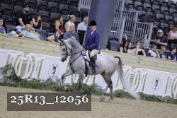 25R13_12056 thumbnail