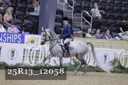 25R13_12058 thumbnail