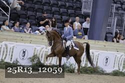 25R13_12059 thumbnail