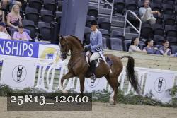 25R13_12060 thumbnail