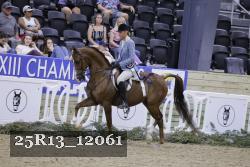 25R13_12061 thumbnail
