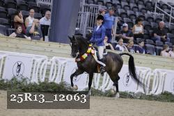 25R13_12063 thumbnail