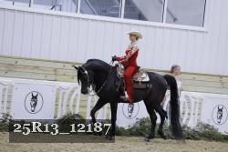 25R13_12187 thumbnail