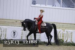 25R13_12188 thumbnail