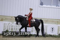 25R13_12189 thumbnail