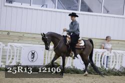 25R13_12196 thumbnail