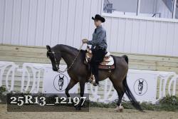 25R13_12197 thumbnail