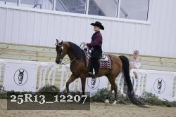 25R13_12207 thumbnail