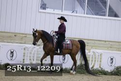 25R13_12209 thumbnail