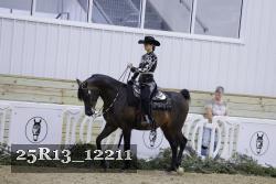 25R13_12211 thumbnail