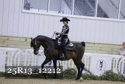 25R13_12212 thumbnail