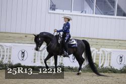 25R13_12218 thumbnail
