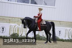25R13_12219 thumbnail