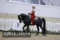 25R13_12220 thumbnail
