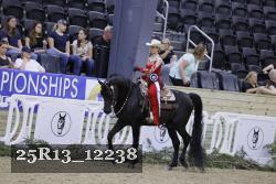 25R13_12238 thumbnail