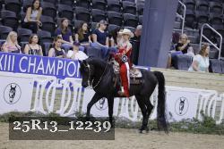 25R13_12239 thumbnail