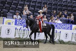 25R13_12240 thumbnail