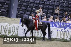 25R13_12241 thumbnail