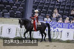 25R13_12242 thumbnail