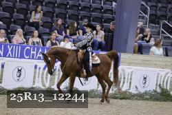 25R13_12244 thumbnail