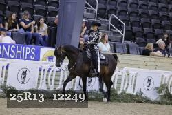 25R13_12249 thumbnail