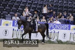 25R13_12253 thumbnail