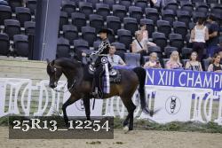25R13_12254 thumbnail