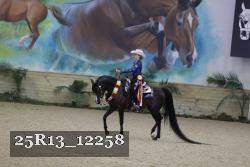 25R13_12258 thumbnail