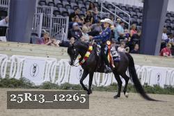 25R13_12265 thumbnail