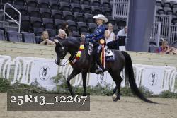25R13_12267 thumbnail