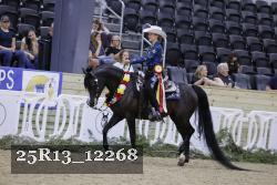 25R13_12268 thumbnail