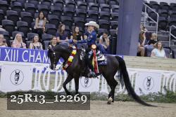 25R13_12269 thumbnail