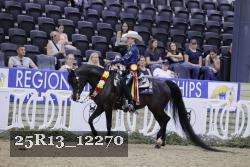 25R13_12270 thumbnail