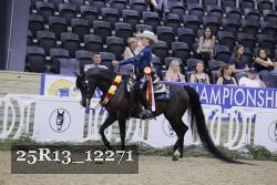 25R13_12271 thumbnail