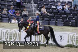 25R13_12273 thumbnail