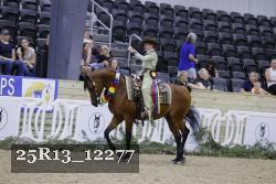 25R13_12277 thumbnail