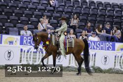 25R13_12279 thumbnail