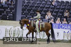25R13_12280 thumbnail