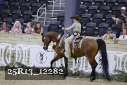 25R13_12282 thumbnail